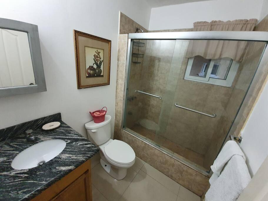 Central Upscale New Kingston Apt With Pool Zewnętrze zdjęcie